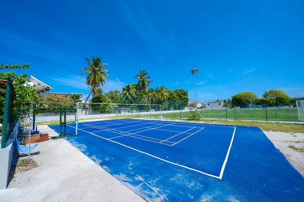 Analyse des KO par coup de pied dans l'UFC