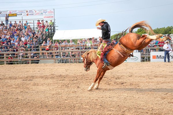 Analyse de match : une perspective de la Fédération de boxe